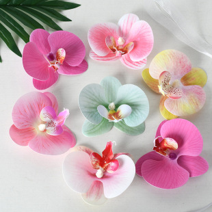 �����ׁ������m�^�����滨�^�l��^��ֶY�b�c��Y����diy