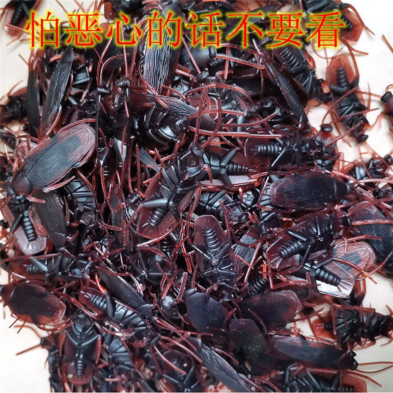 5.jpg?x-oss-process=image/format,png