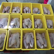 ΰ蹩 ub{ir  ɵ͜ ɷĤ  w