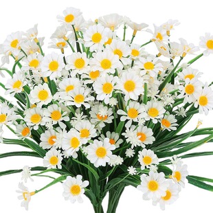 �羳���컨�r�շ����⾀����ɫ����ֲ�� ��ͥ�b����������ϻ�