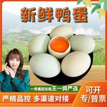【严选】河南绿皮土鸭蛋 代发30枚新鲜农村河边散养生鸭蛋非鹅蛋