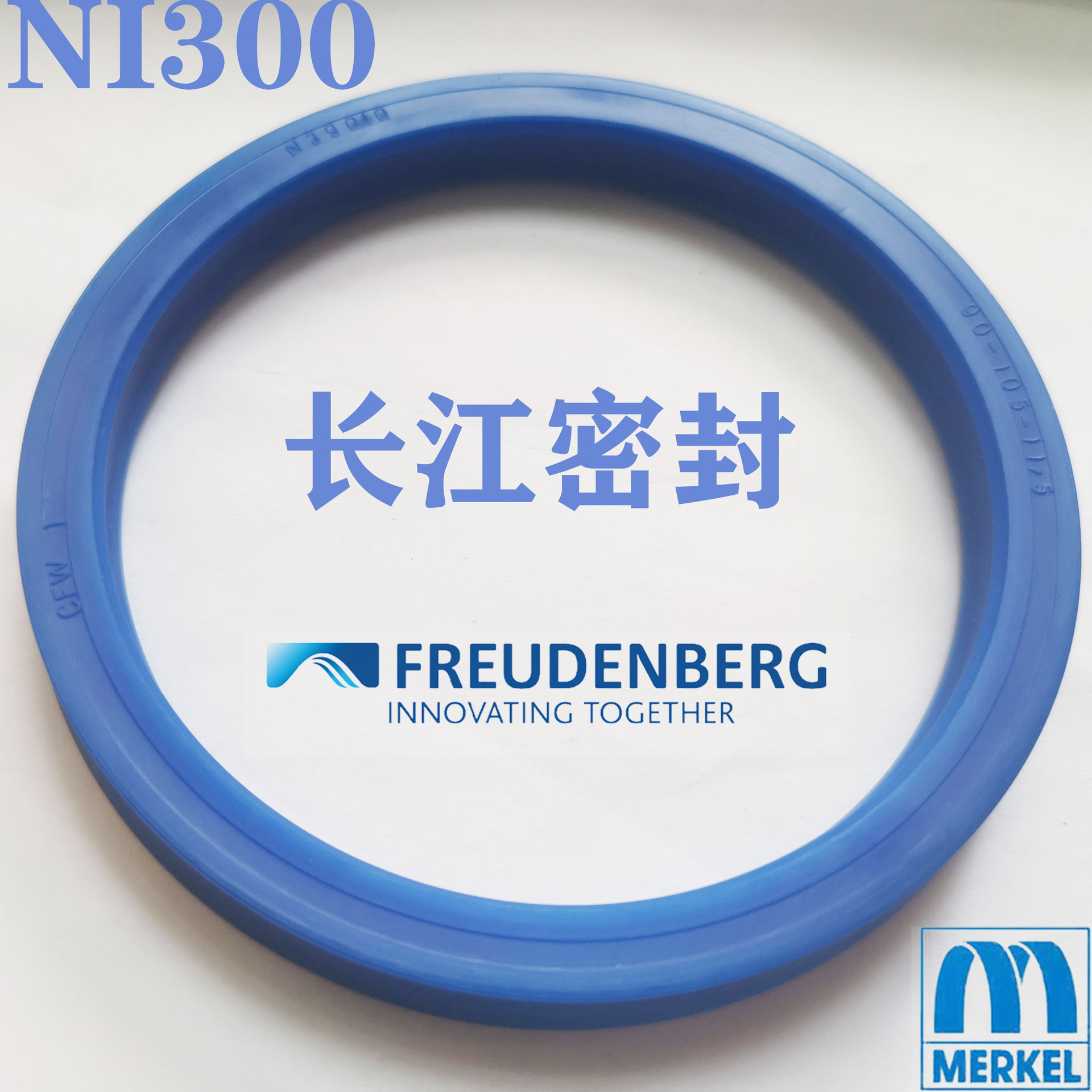 cfw1 N39149 100-115-12 德国merkel freudenberg  密封圈