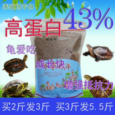 Tortoise Turtle Food Tortoise feed Money Yellow edge currency Calcium supplement Young turtle Little Turtle Snapping Turtle Brazil Turtle Food feed