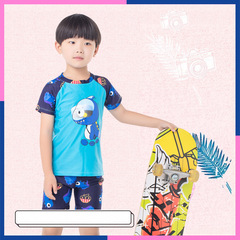 Children's Separate Swimwear Set for Boys, Baby Swim Trunks, Hot Spring Suit Set for Young Kids, Middle Kids, and Kids - Fashionable Swimsuit