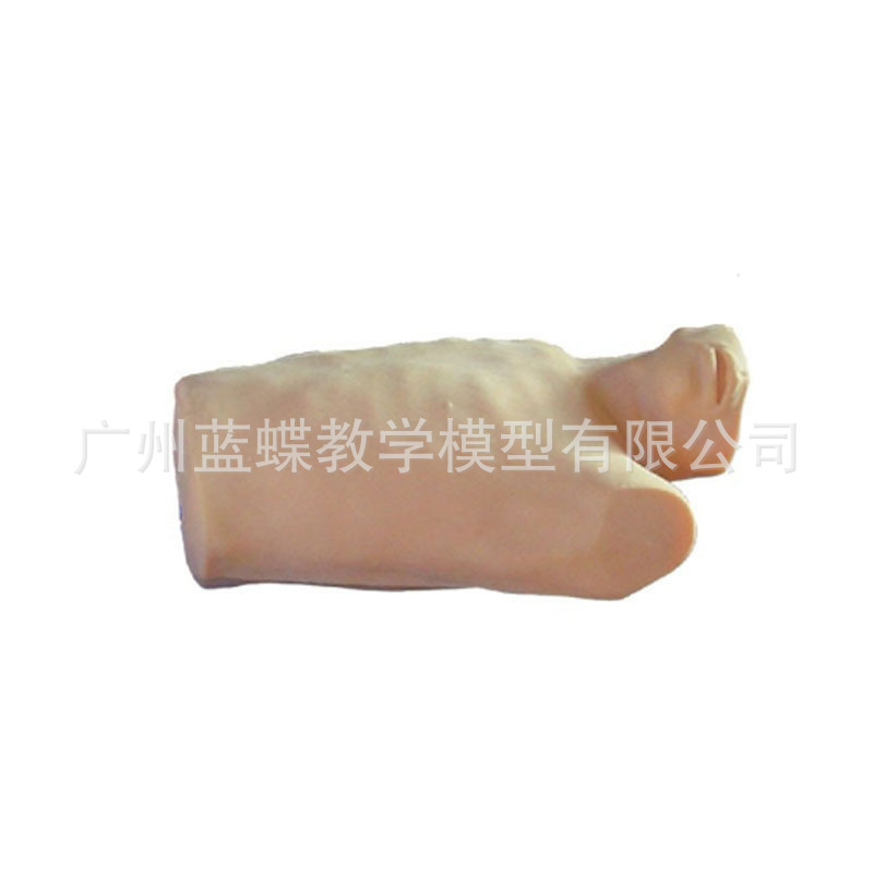 �İ�����������ע��ѵ��ģ��ҽѧ����ģ����ǰ������ѵ��ģ��