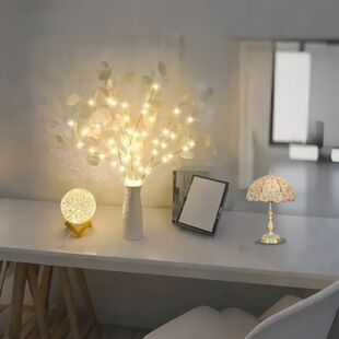 LED�����ȼ�����֦����ƿ�b�ins�L���g���÷Շ���