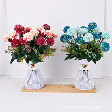 Sl7 ¿ɫ滨ƙb[Żˇ