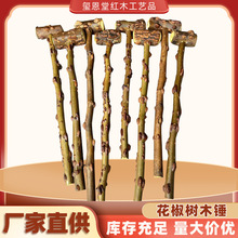 ������ľ�N���j�ñ��N�S�ҹ�������ľ������Ħľ�N���l����ľ�N