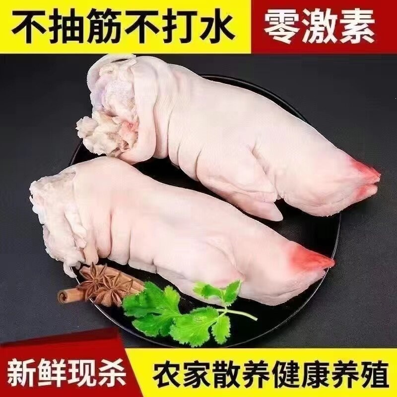新鲜9两大猪蹄整只猪前蹄带筋猪脚猪手香猪爪生猪蹄子烧烤食材
