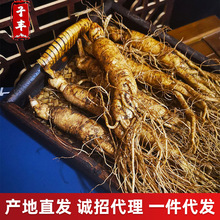 ���r�����L��ɽ�˅����l �a�ع��� �|���خa ���r�˅� �ݾƅ�