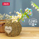 Jaki Jiaqi Building Blocks Flower Assembled Succulent Bouquet Building Blocks Girls Home Furnishings Immortal Flower Valentine's Day Gift