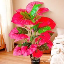 �羳����Gֲ��ˮ�^��ֲ�� ��c�b�18�^�ۼtɫ �bҾӿ͏d�٘�