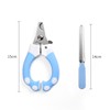 Hygienic nail scissors stainless steel for nails, wholesale