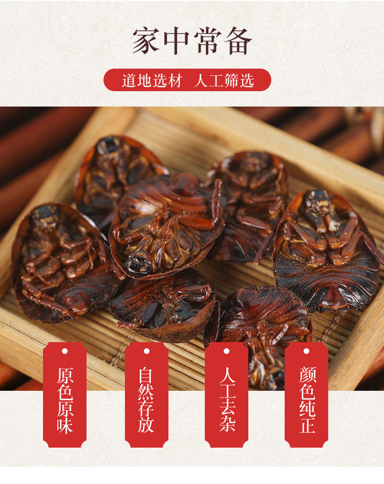Wild Ground Beetle Tu Bie Chong Dried Whole Insect 500g Traditional Chinese Herb for Decoction and Grinding overview