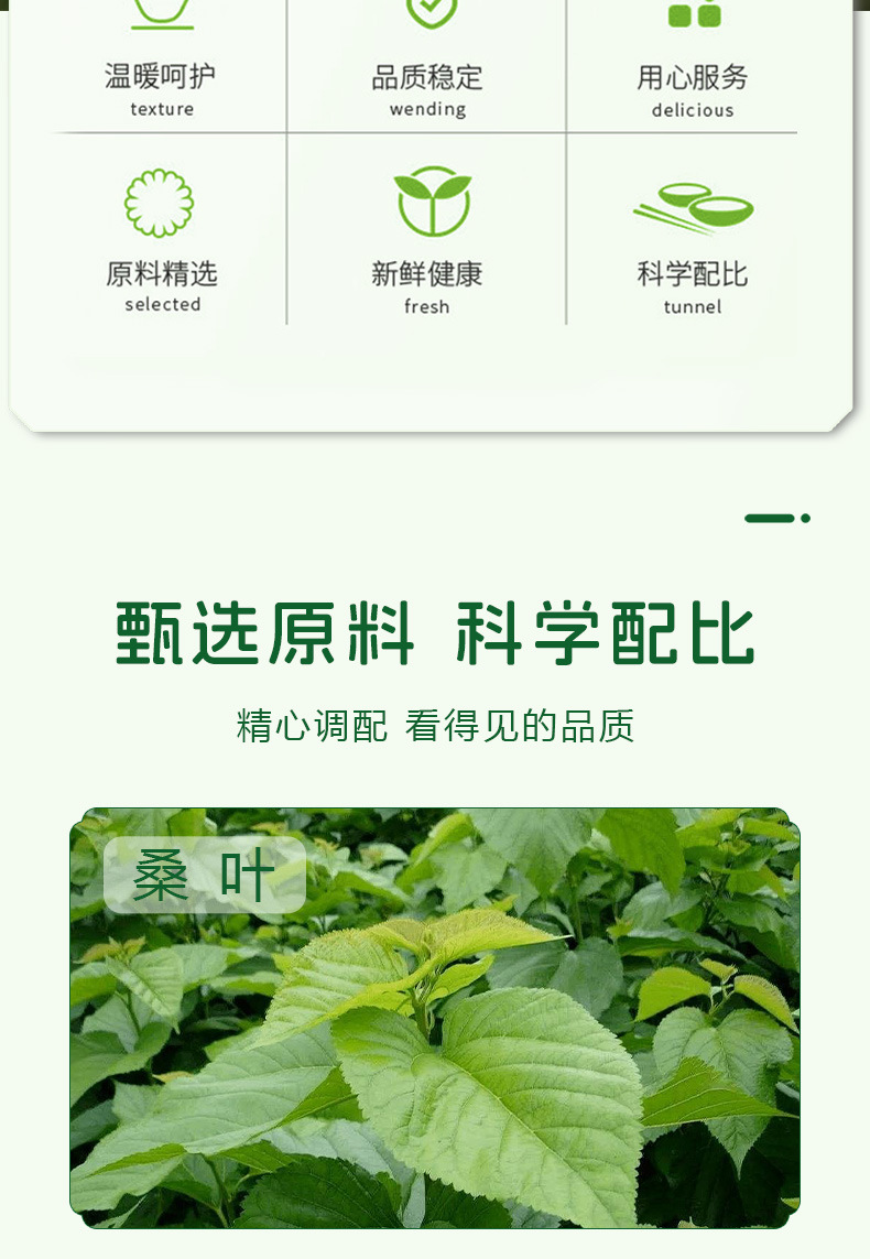 Sang Ye Shuang Gua Cake Mulberry Leaf Winter Melon Bitter Gourd Herbal Pastry 100g Jar Traditional Snack quality and texture
