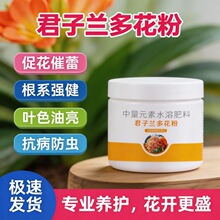 �����m�໨�� �����󻨷�M ���ڷ۽Y���ʸ� ���N���x ����ֱ��