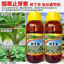 烟草止芽素 仲丁灵 烟叶专用打顶药抑制腋芽生长植物生长调节剂