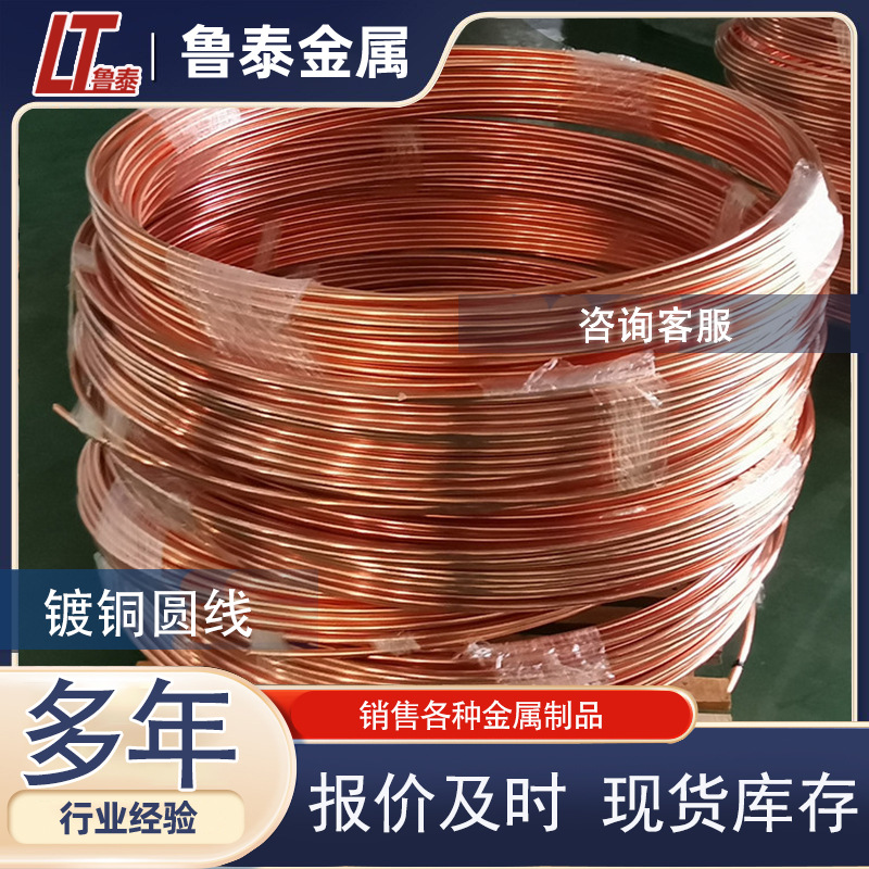 镀铜圆线 铜包钢圆线 铜覆钢圆钢 防雷接地铜包钢圆线 镀铜圆钢厂