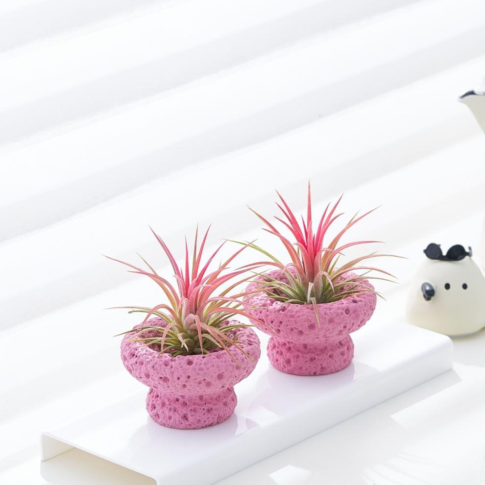 79bc9ee2-ece1-4552-9ce0-663984af89cf.jpe