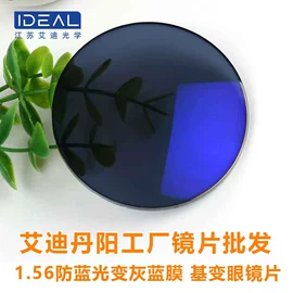 眼镜片;其他眼镜