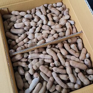 ���l���ˮ�� ����� Сֱ�� �_���ӹ� ��Ƕ� Դ�^�S�����l����