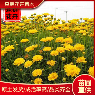 ���u�ձ��� �@�־G�������޸����ܽ��u�ձ��� ���l�󻨽��u�ջ���