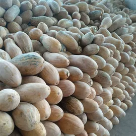 月饼;传统糕点;软糖