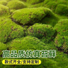 仿真人造草皮加长植毛青苔块草坪地毯微景观装饰花卉仿真青苔草坪