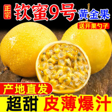 �J��9̖�����5����]������r�����rˮ����������ԭ�{��