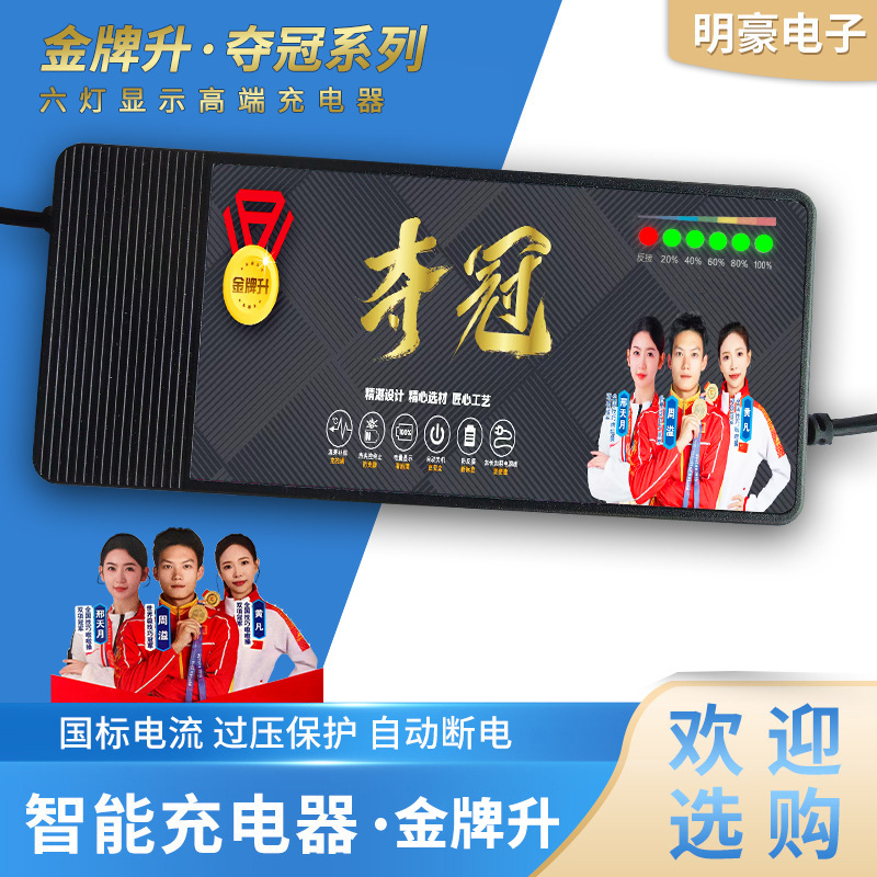 电瓶车充电器金牌升6灯充电器品质保障量大优惠铅酸电动车充电器