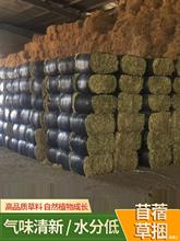 100斤 国产苜蓿草干草牛羊喂马吃的草料奶牛奶山羊草羊驼人气饲料