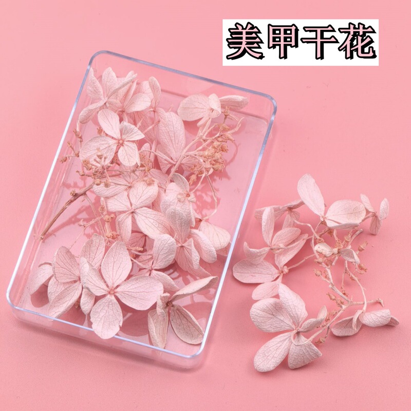 Everlasting Flower Hydrangea Small Box with 20 Hydrangea Dried Flowers Manicure Dried Flowers Eye Makeup Flowers Handmade Flower Materials DIY Garland