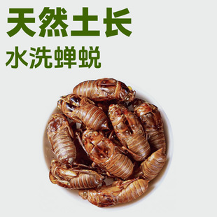 ��ƷҰ��ˮϴ�s͑��ș��500g�s͑Ƥ�s���s���sƤ�s���x��֪�˚�Ƥ
