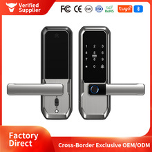 跨境外贸家用室内房间门木门智能门锁涂鸦指纹锁远程开锁密码锁