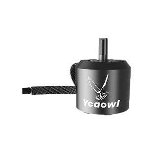 Brushless Dc 6355 Motor High Speed Ultrasonic Facial Washer Customized Mechanical High Power Ip68 Waterproof Motor