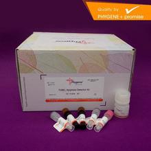 PH0535 TUNEL细胞凋亡原位检测试剂盒 显色法 通用型 Phygene