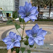 年宵花3D仿真花 3头手感铁线莲 蓝色玉兰福桶抱抱桶软装假花批发