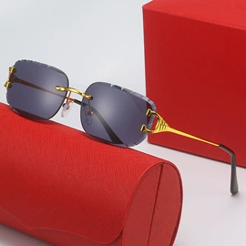 太阳镜;框架眼镜;老花镜