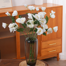 ����۹����T��F���Ҿӿ͏d��߅���廨�b�û�c�ٻ��������յ���