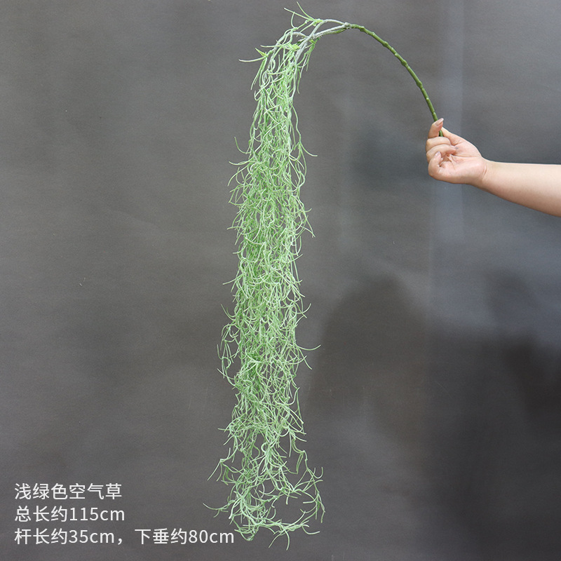 연한 녹색 공기 잔디의 가지