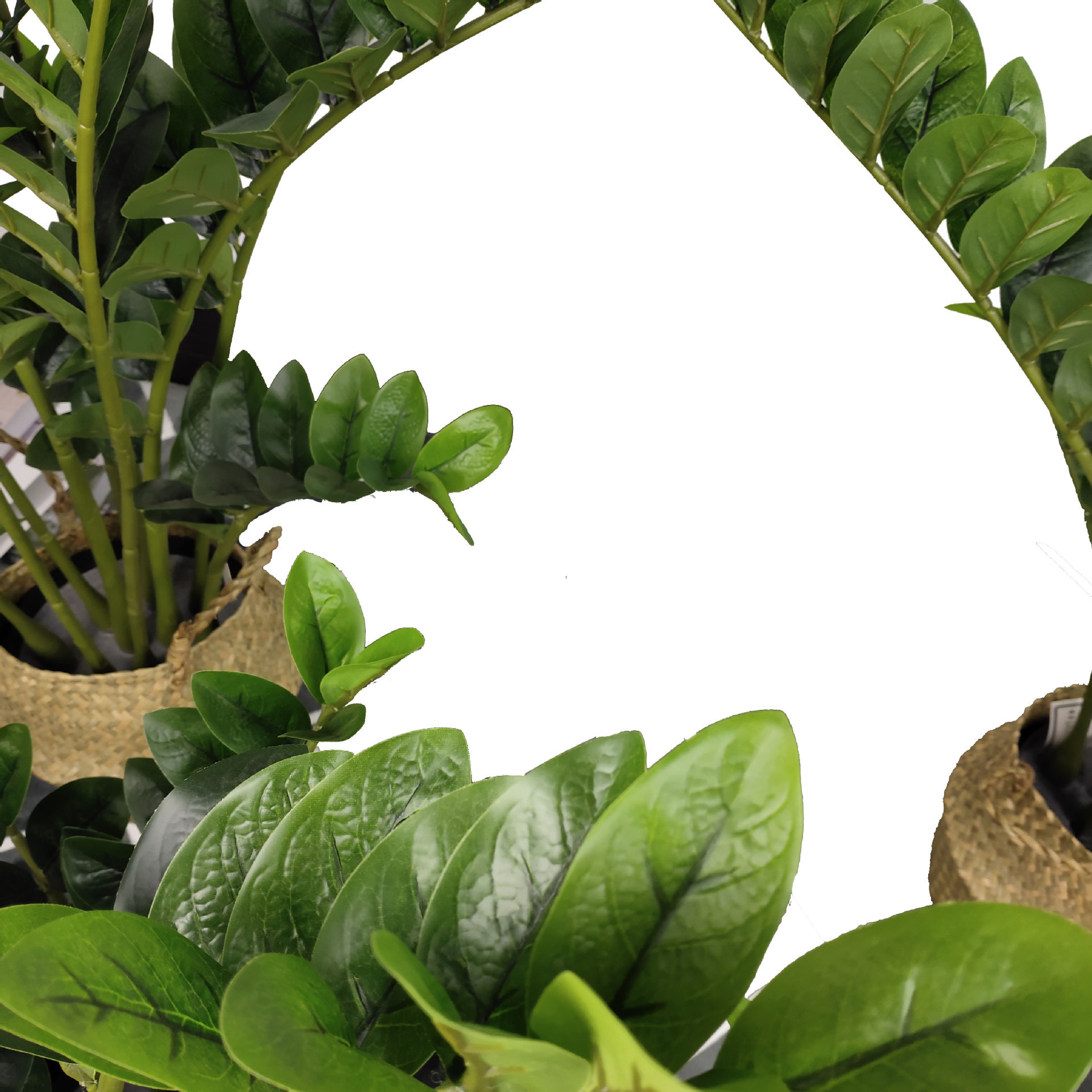 Simulación de hojas de dinero, plantas verdes, plantas en macetas, simulaciones de hojas de dinero falsas, adornos de plástico artificial, plantas verdes