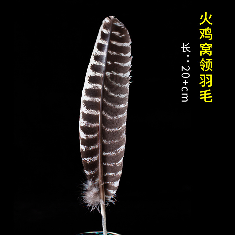 国境を越えた卸売り白鼠尾草青鼠尾草雪松杖聖木線香塔香アワビ殻などホワイトセージ|undefined