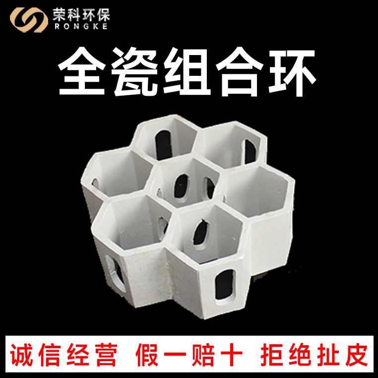 全瓷组合环带筋组合环陶瓷规整填料耐酸耐碱洗涤塔全瓷组合填料