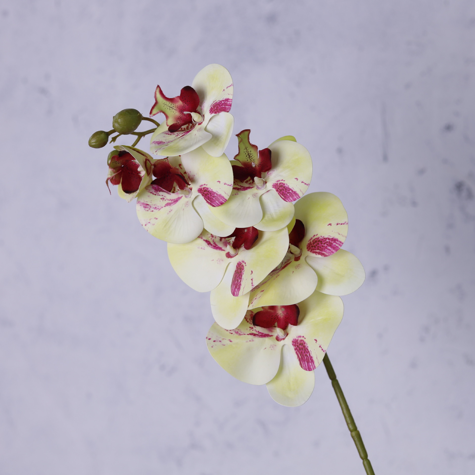 Impresión 3D de 7 cabezas de orquídeas mariposa flor de decoración de flores de alto nivel flor de nicho decoración floral decoración de sala de estar