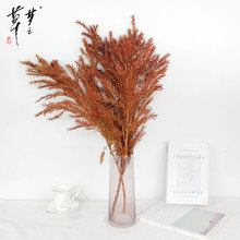 �������rǧ�ӽ�100g���������l�Y�л���  ���c�b��ϼҾӲ廨