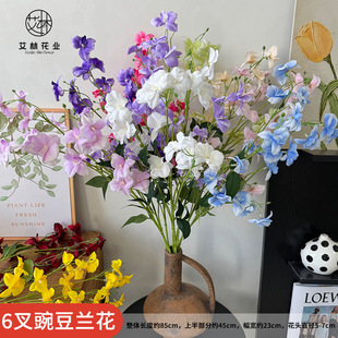 6���㶹�m�����滨��������{ɫ�L���ӻ�c·����Y�bٻ����l