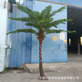 仿真桫椤树 玻璃钢沙罗树 仿真树批发 恐龙博物馆园林造景装饰