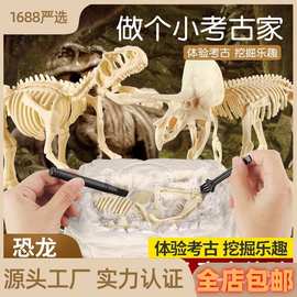 考古挖掘石膏玩具恐龙化石大号骨架拼装模型儿童手工DIY摆摊批发