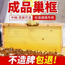 八千中蜂巢础巢框成品带框蜂巢意蜂巢脾蜜蜂巢基蜂箱专用工具养蜂
