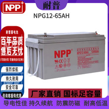 NPP늳NPG12-65 12V65AhֱEPS̫UPSԴzw